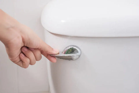Do Septic Bacteria Additives Work?