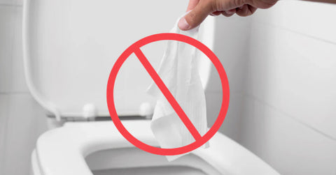 Think Before You Flush: Common Items That Harm Your Septic System