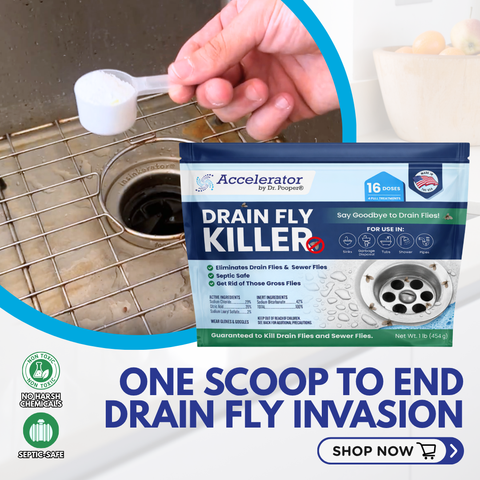 Drain Fly Killer 2 Pack Bundle